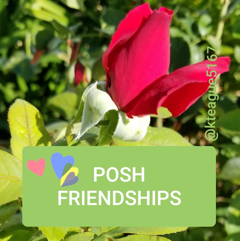Thinking of You--PoshLove #1